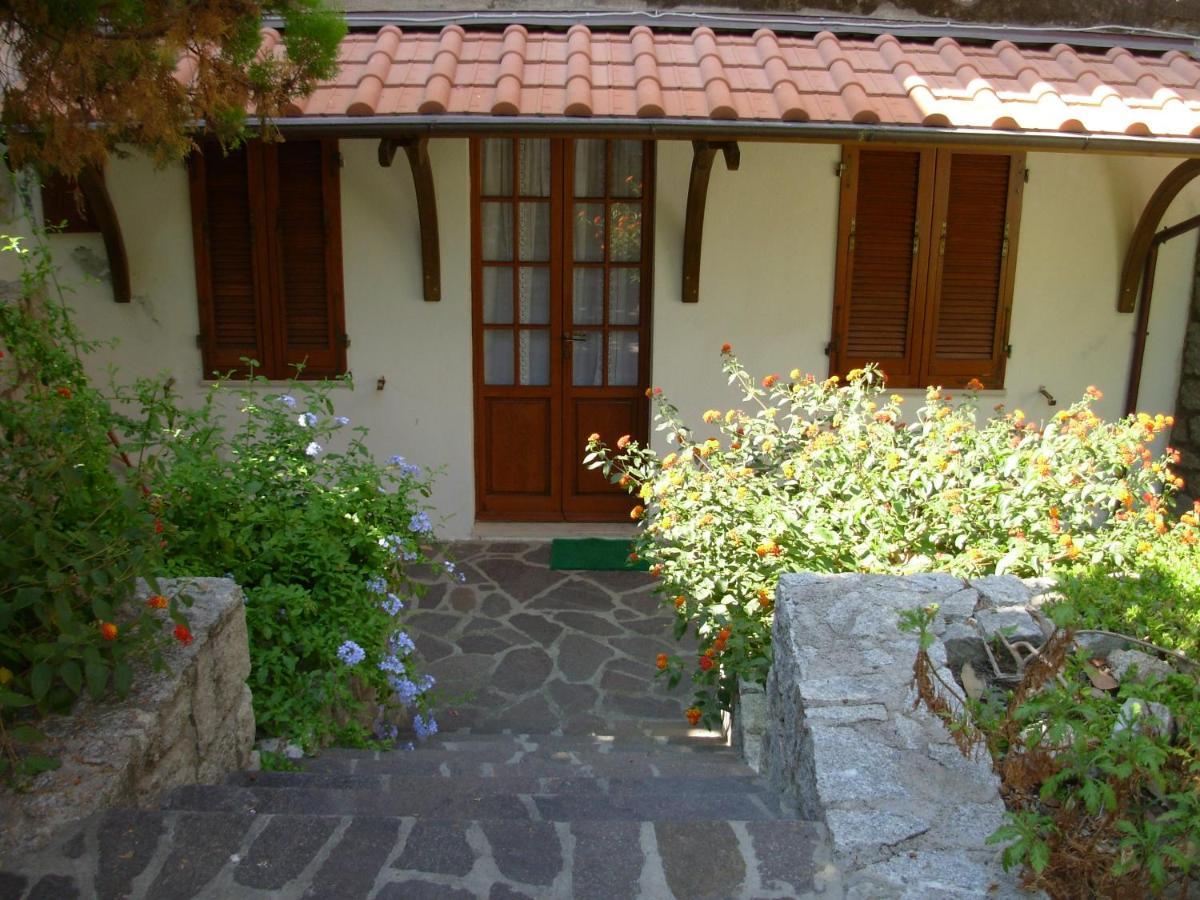 Appartamento Il Nespolo Pomonte Exterior photo