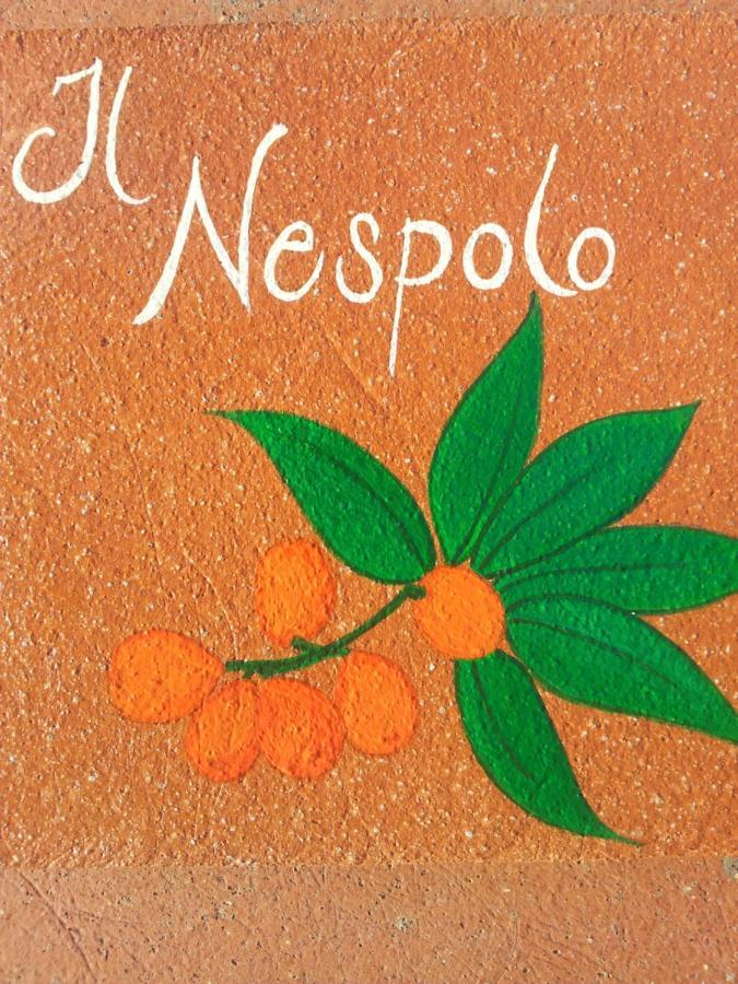 Appartamento Il Nespolo Pomonte Exterior photo