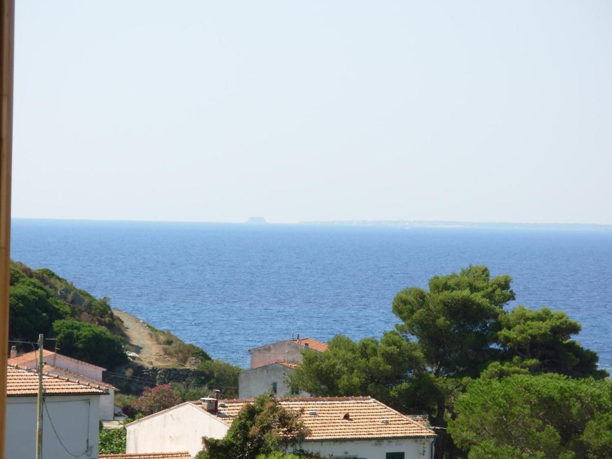 Appartamento Il Nespolo Pomonte Exterior photo